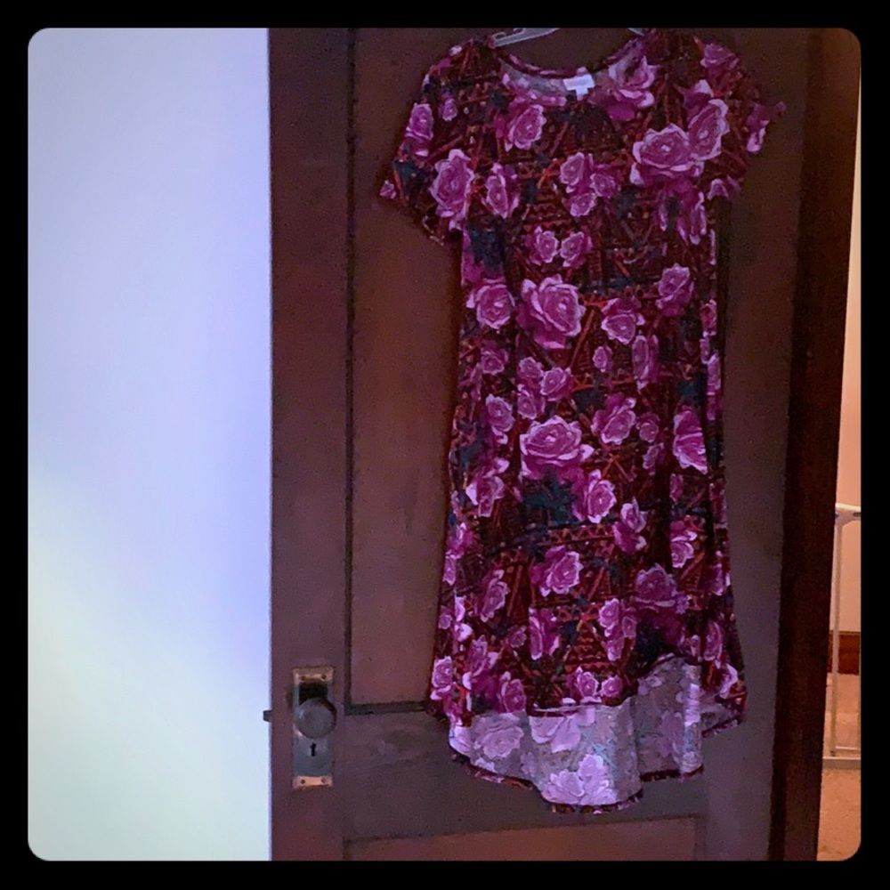 Lularoe Carly dress!